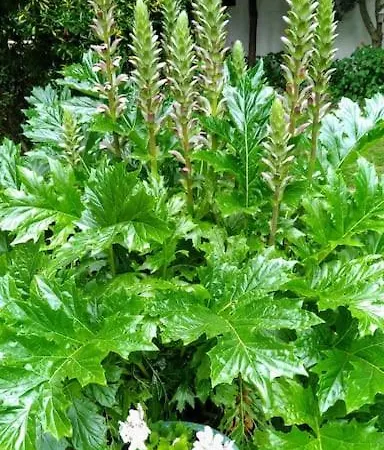 La Tour Du Logis, 4 * A 15 Min Du Futuroscope Feriehus