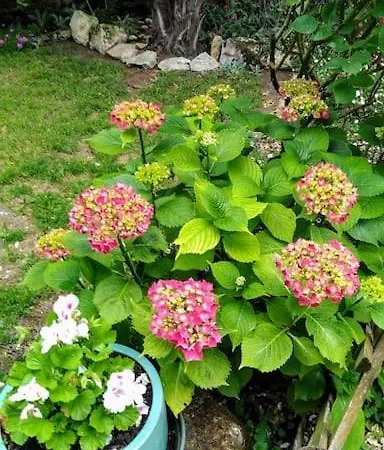 La Tour Du Logis, 4 * A 15 Min Du Futuroscope *