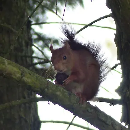 La Tour Du Logis, 4 * A 15 Min Du Futuroscope * Cheneche