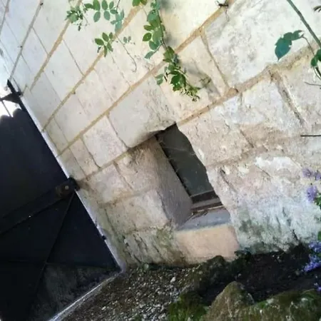 La Tour Du Logis, 4 * A 15 Min Du Futuroscope 펜션 Cheneche